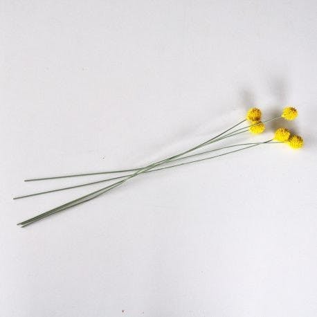 Φυτό / κλαδί κίτρινο σετ5