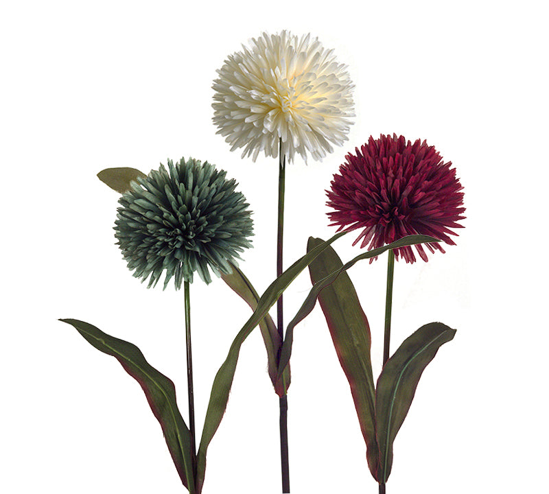 Λουλούδι Allium, σε 3 χρώματα για διακοσμητική σύνθεση σε βάζο