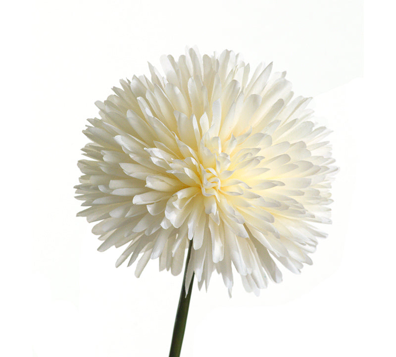 Λουλούδι Allium, σε 3 χρώματα για διακοσμητική σύνθεση σε βάζο