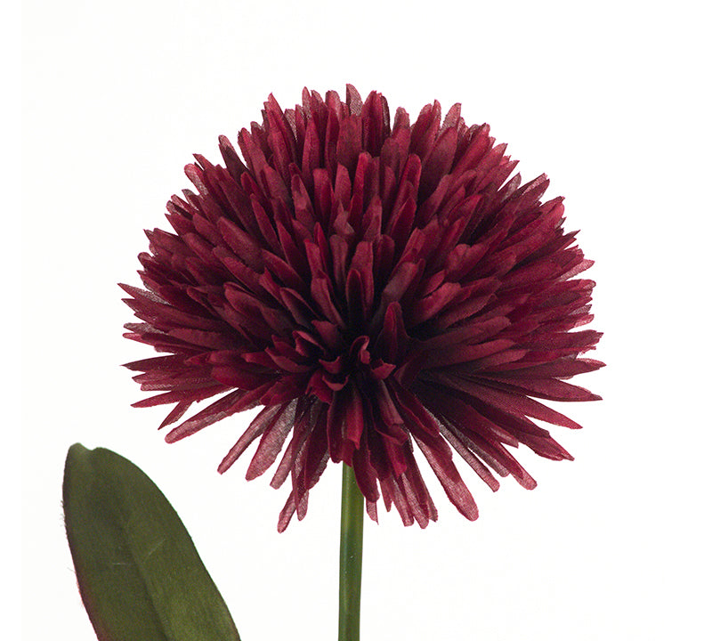 Λουλούδι Allium, σε 3 χρώματα για διακοσμητική σύνθεση σε βάζο
