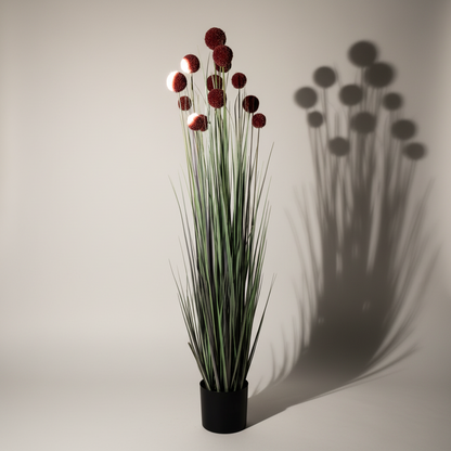 Φυτό γρασίδι σε γλάστρα με πομπον-ESTHETI-IDEE | Home & Living Concept Store