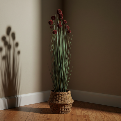 Φυτό γρασίδι σε γλάστρα με πομπον-ESTHETI-IDEE | Home & Living Concept Store