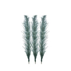 Φυτό/κλαδί Pampas Grass βεραμάν Σετ 3 για διακοσμητική σύνθεση σε βάζο