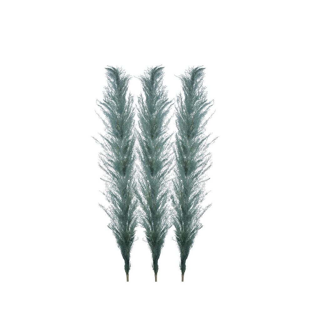 Φυτό/κλαδί Pampas Grass βεραμάν Σετ 3 για διακοσμητική σύνθεση σε βάζο