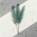 Φυτό/κλαδί Pampas Grass βεραμάν Σετ 3 για διακοσμητική σύνθεση σε βάζο