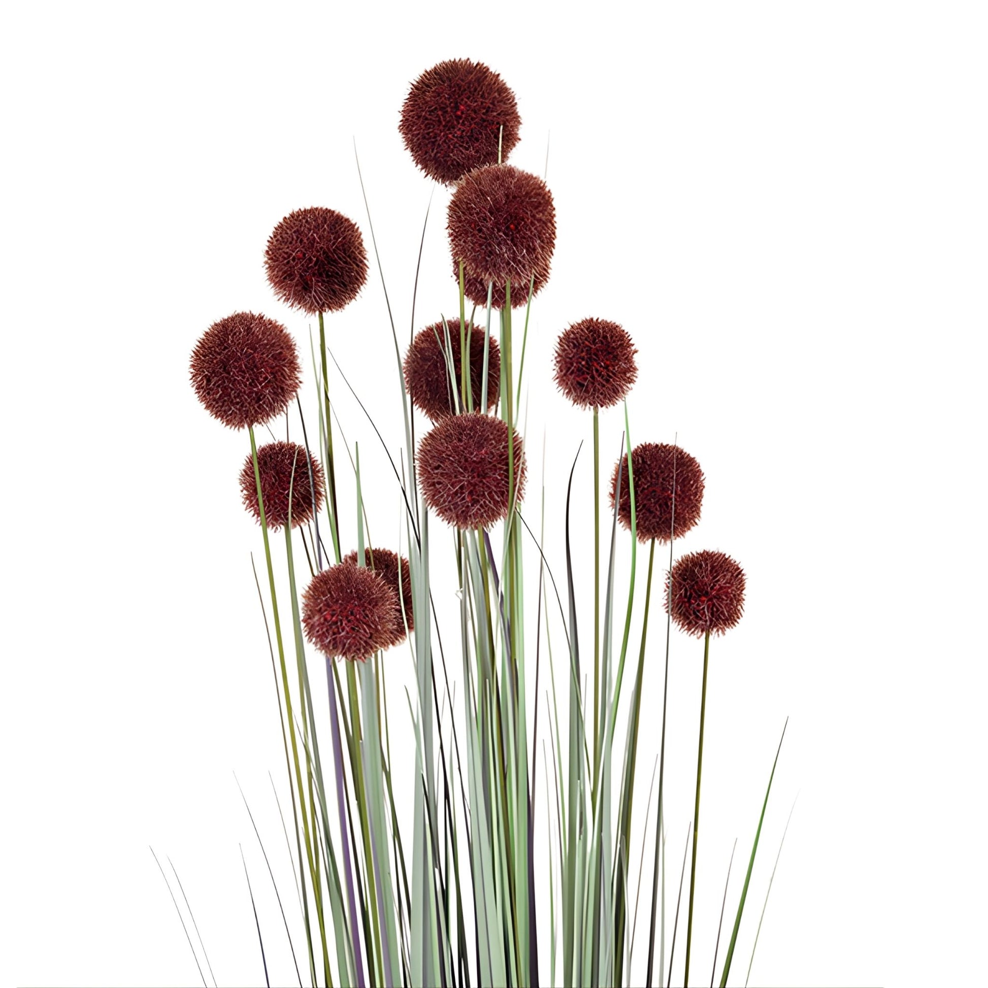 Φυτό γρασίδι σε γλάστρα με πομπον-ESTHETI-IDEE | Home & Living Concept Store