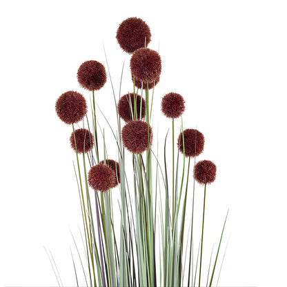 Φυτό γρασίδι σε γλάστρα με πομπον-ESTHETI-IDEE | Home & Living Concept Store