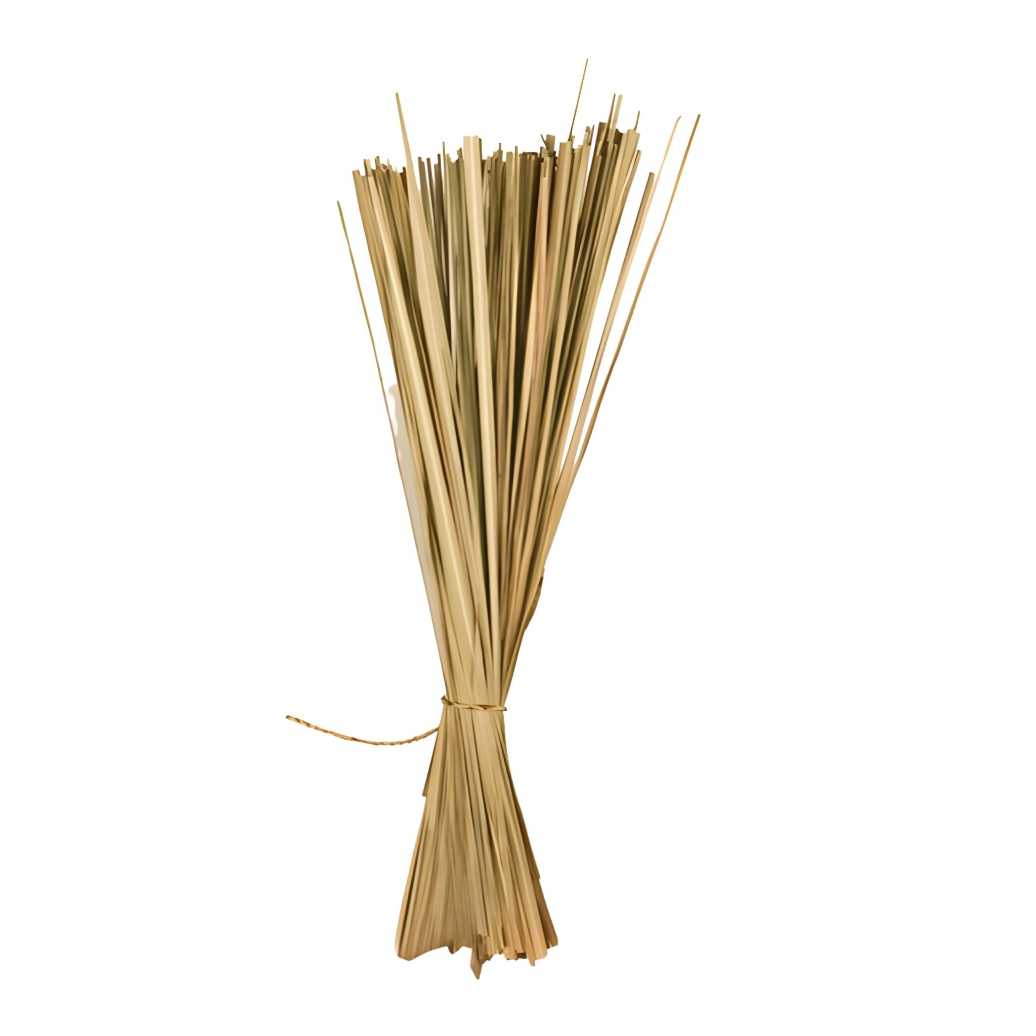 Διακοσμητικά Φύλλα Grass σε Μάτσο σε curated home styling