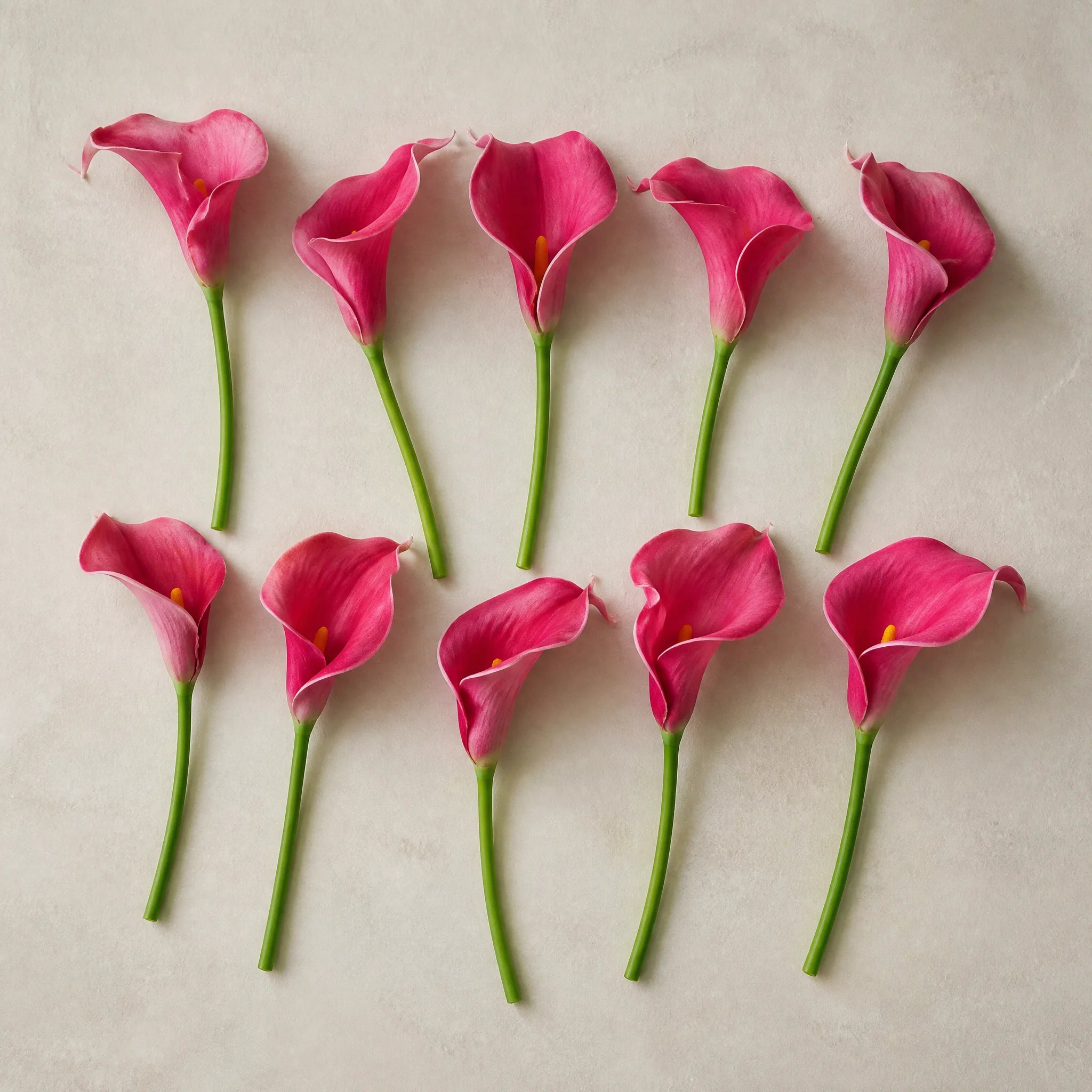 Μπουκέτο με δέκα τεχνητές κάλλες σε σκούρο ροζ και πράσινους μίσχους